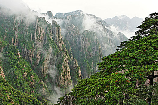 一喷就晕睡三个小时的药C1B8D97C5-18975